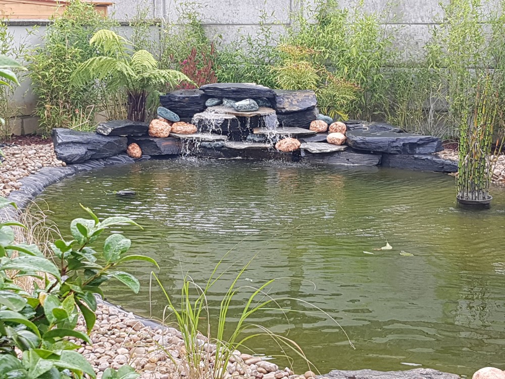 Bassins naturels et jardins aquatiques dans Le Cotentin avec Amiot Espaces  Verts à Valognes