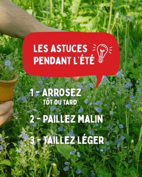 Agrandir la photo